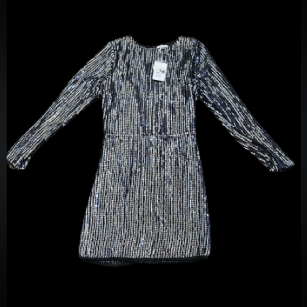 NWT Frnch Paris Sequined Mini Dress